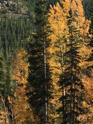 Oklassificerad bild, 5 av 38, knapp