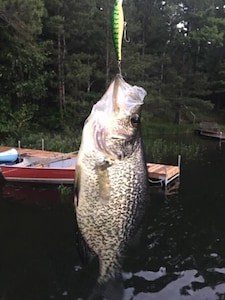 Family and pet-friendly Lakeside Lodge, close to the best of the Northwoods!