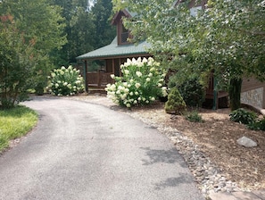 Roomy horseshoe drive at cabin