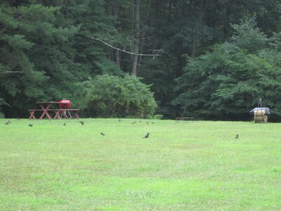 Welcome Ricketts Glen Hikers 