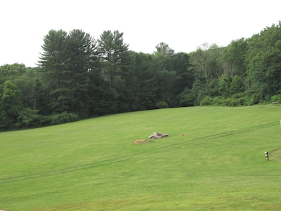 Welcome Ricketts Glen Hikers 