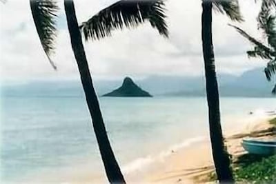 Paradise Is Beachfront On The Northeast Shore Ka A Awa 30 Day Minimum Stays Kaneohe