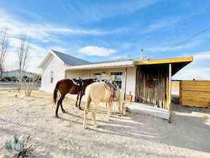 Book a horse ride at Prude Ranch. Call or email in advance to make reservation.