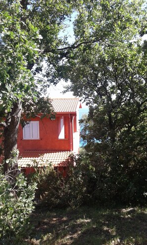 Exteriör