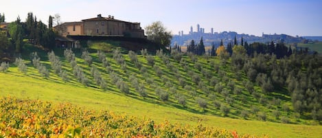 Montegonfoli 4 is on the ground floor of the main building.View on San Gimignano