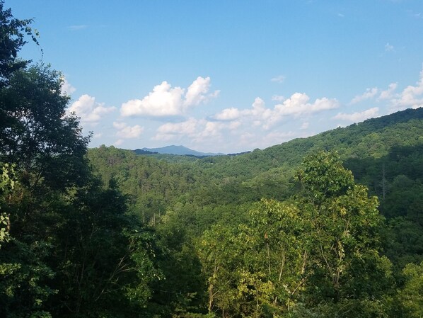 View from Back Deck