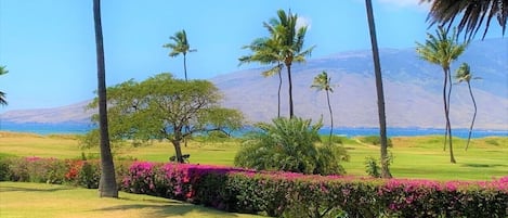 Maui... True Paradise!!