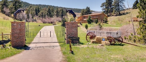 Gated Private Front Entrance Log Cabin on 6 acres 