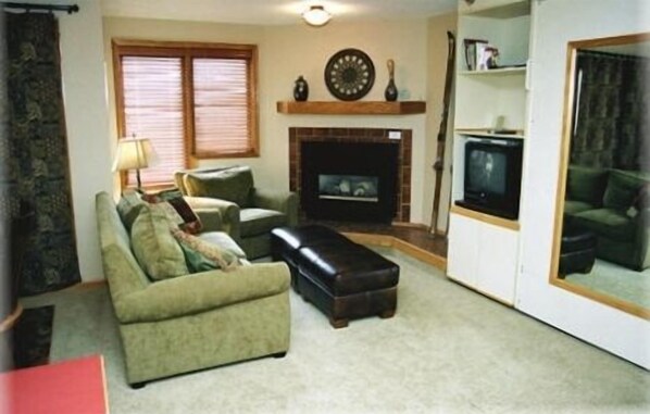 LR - newer TV than in photo, murphy bed behind mirror plus sofa sleeper