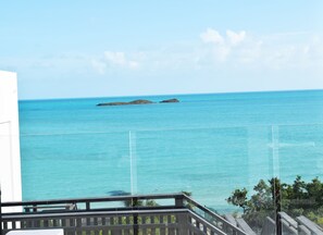 View From Patio