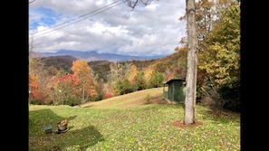 FALL EXPLODES IN A VIEW OF RED ORANGE AND BROWN!