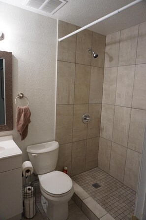 Bathroom with toilet and shower.