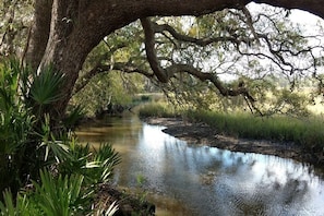 Creek left