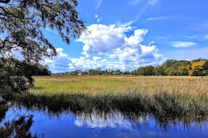 Creek center