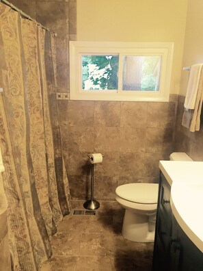 Downstairs new bathroom next to the Master Suite