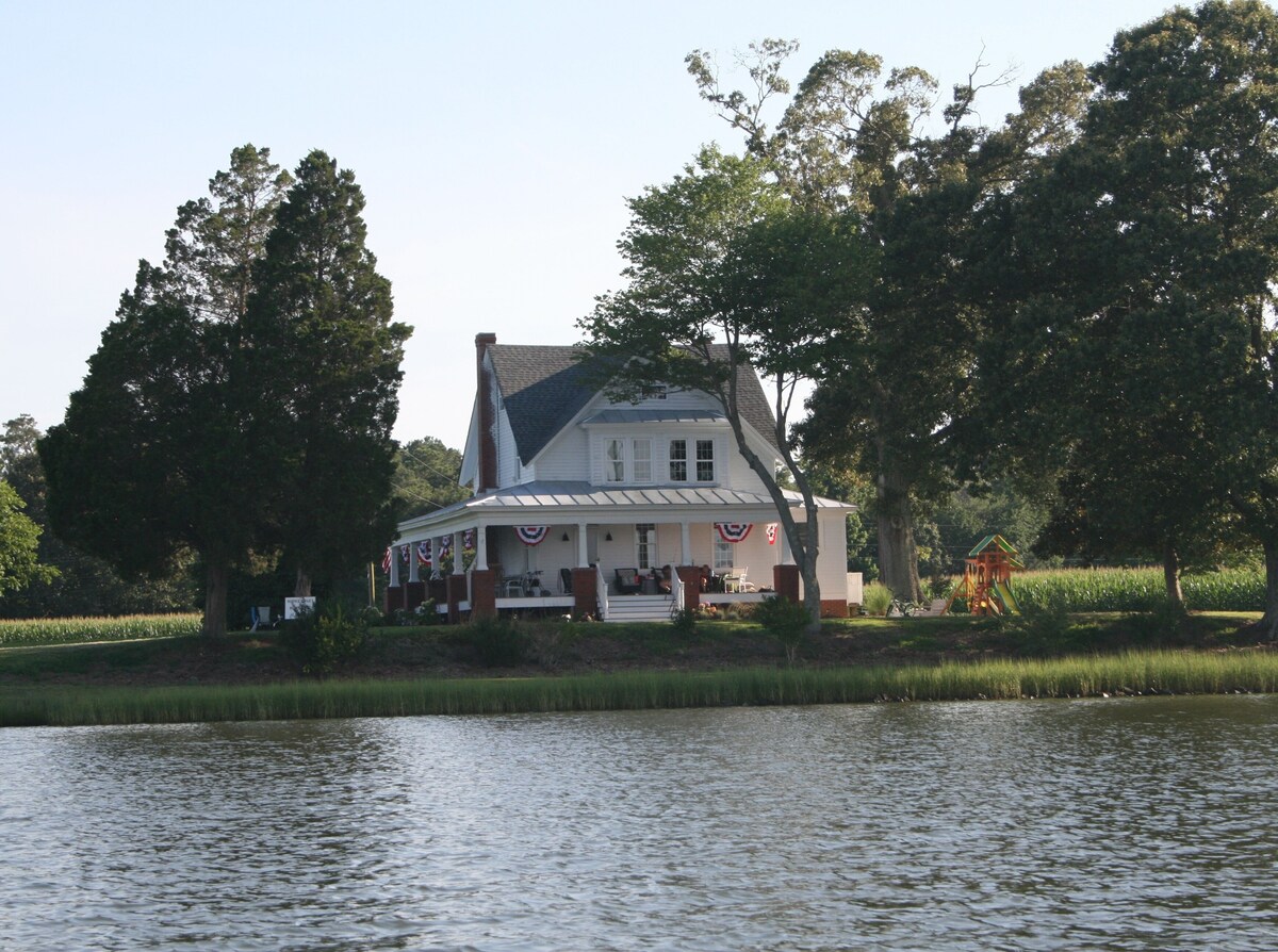 Main Image