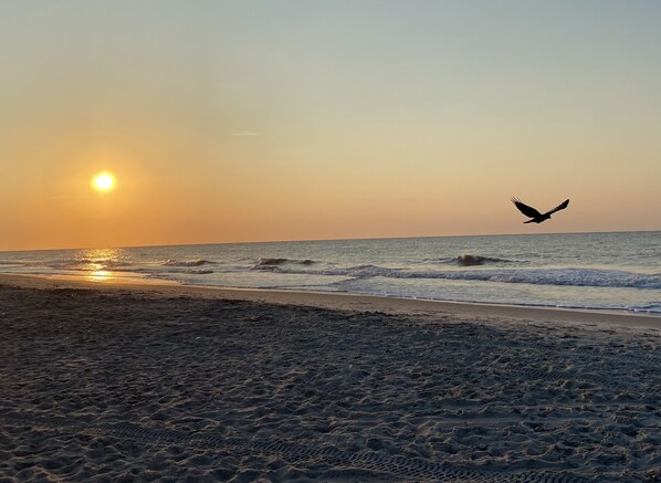 Catch the sunrise with your morning coffee!