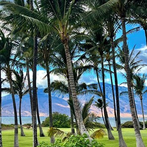 View from back yard