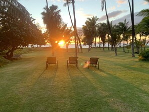 Al’s Paradise - Beach Front