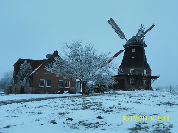 Außenseite Ferienhaus [Winter]