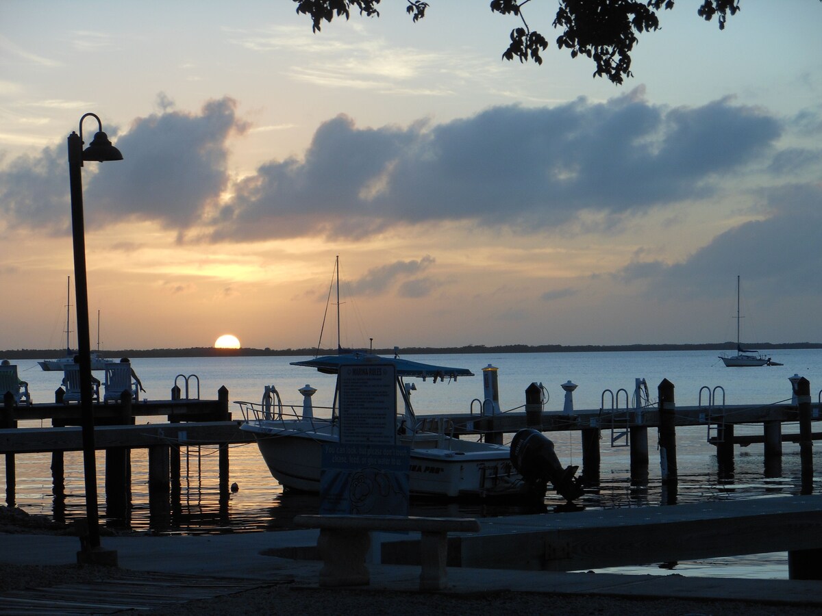 Another Day in Paradise- Best Waterfront/Pool View. Boat Slip option