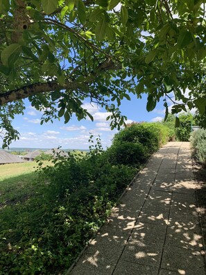 Trädgård
