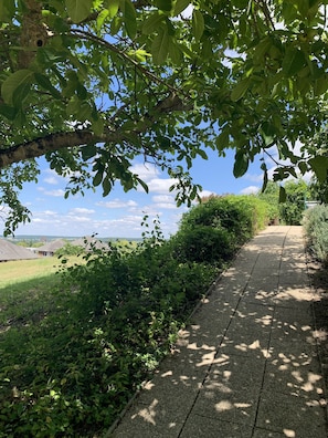Trädgård