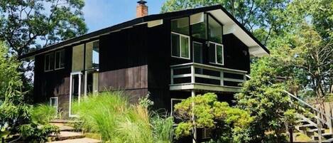 New black exterior painted house 