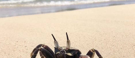 Spiaggia