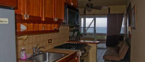 Your view while cooking breakfast. Fully stocked kitchen, professional gas stove