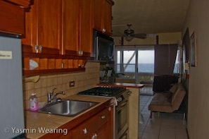 Your view while cooking breakfast. Fully stocked kitchen, professional gas stove