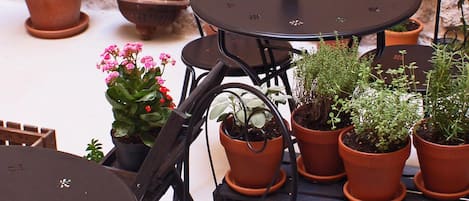 Terraço/pátio interior