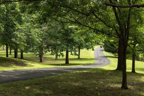 Long meandering driveway to estate is over 1/8 mile long...complete privacy!