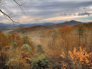 Spectacular Fall Colors as seen from the deck, in late Nov 2023