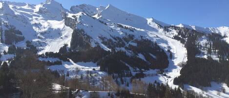 Spectacular apartment view: Facing due South to La Balme and the best pistes!