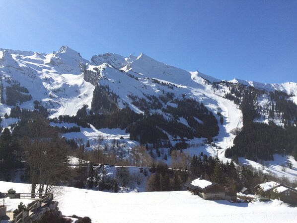 The glorious south aspect from the apartment