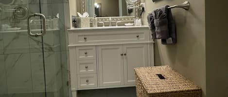 NEW! Luxury walk in spa bathroom with lighted magnifying mirror.