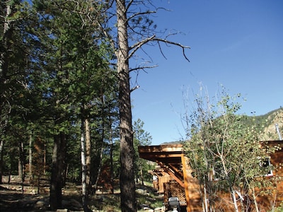 Enjoy a Rocky Mountain Getaway in a Fully-Furnished Cabin 