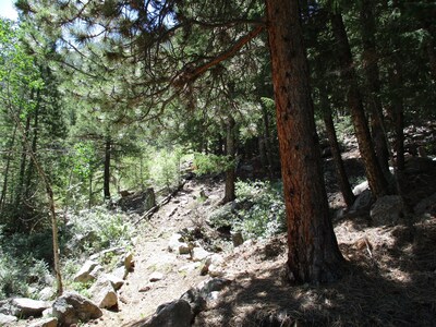 Enjoy a Rocky Mountain Getaway in a Fully-Furnished Cabin 