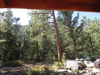 "Skiers" Tiny Home Cabin in the Rocky Mountains