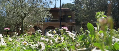 Il giardino fiorito