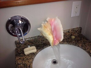 Faucet like no other!