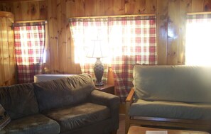 Double futon sleeper