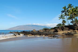 Ocean Views - Best Location! Across Street from Beach/Rooftop deck!