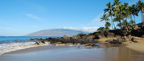 Kamaole Beach Royale - 300 yards to Kam I/ Charlie Young Beach