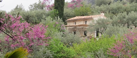 Jardines del alojamiento