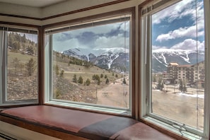 View of the Sky Chutes from the massive bay window with cushioned window seat.