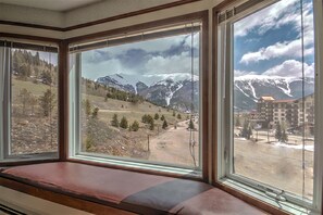 View of the Sky Chutes from the massive bay window with cushioned window seat.