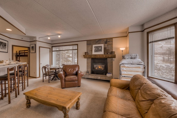 Expansive view of the Studio from vantage point of the closed Queen Murphy Bed.