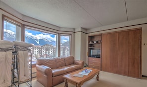 View from leather recliner with closed Queen Murphy Bed & closed Roll-Away Beds.